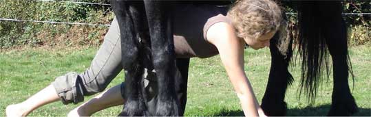 Nordic butoh - Horse and dance